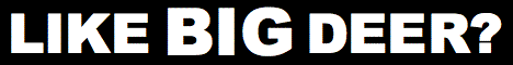LikeBigDeer
