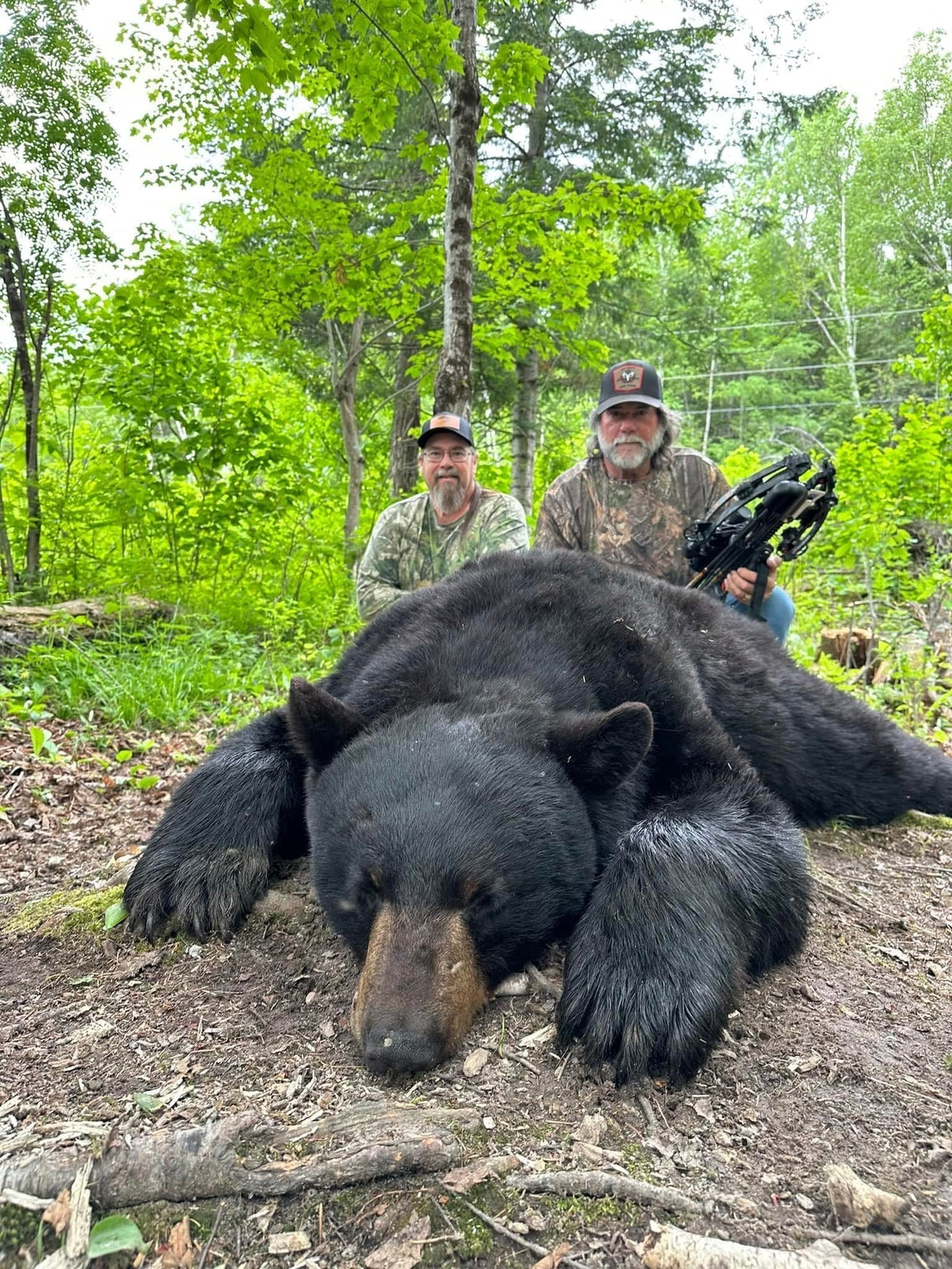 Black Bear Hunt